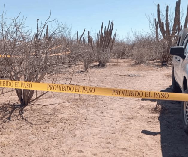 Descubrimiento de fosas clandestinas en Sinaloa