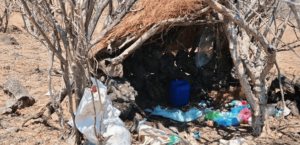 GN localiza en Michoacán dos campamentos clandestinos