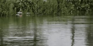 Se desborda el Rodhe