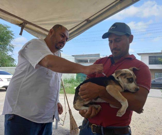 Acciones de gobierno a Río Bravo: Arranca vacunación  para perros y gatos