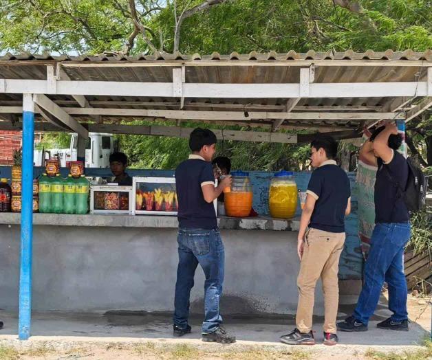 Coepris redobla las inspecciones Coepris redobla las inspecciones