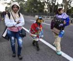 Buscan tocando puertas a 540 mil niños migrantes