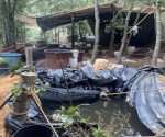 Desmantelan narcolaboratorio de metanfetaminas en Hidalgo