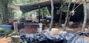 Desmantelan narcolaboratorio de metanfetaminas en Hidalgo