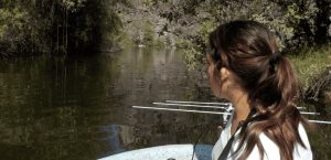 Estudio revela movimientos de los ajolotes en su hábitat natural