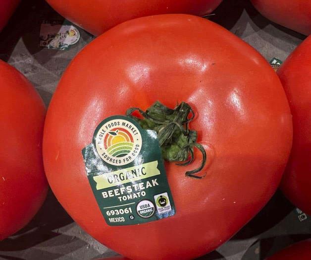 Planea Trump aranceles a tomates mexicanos Planea Trump aranceles a tomates mexicanos