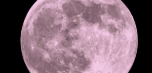 Luna de Flores 2025 el fenómeno astronómico de mayo