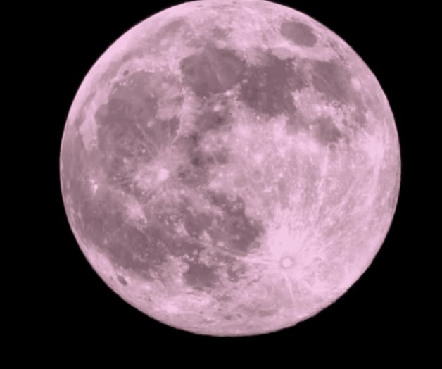 Luna de Flores 2025 el fenómeno astronómico de mayo Luna de Flores 2025 el fenómeno astronómico de mayo