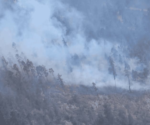 Puebla acumula 190 incendios forestales en lo que va del 2025 Puebla acumula 190 incendios forestales en lo que va del 2025