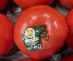 Impondría EU arancel  al tomate mexicano