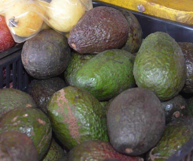 Huevo y aguacate siguen inaccesibles para familias de Reynosa