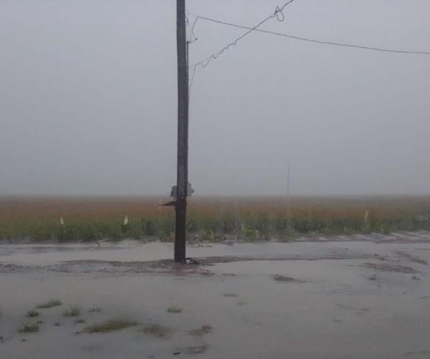 Agricultores y ganaderos, de Plácemes: Festejan lluvias Agricultores y ganaderos, de Plácemes: Festejan lluvias