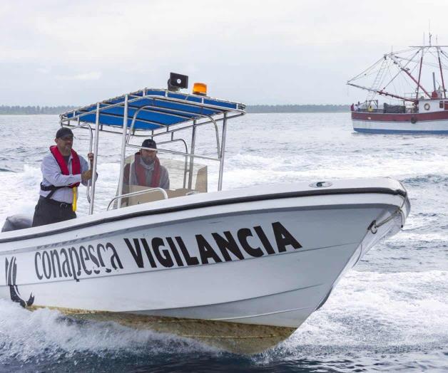 Multas de 80 mil a 4 millones de pesos: Redoblan vigilancia en el mar por veda Multas de 80 mil a 4 millones de pesos: Redoblan vigilancia en el mar por veda