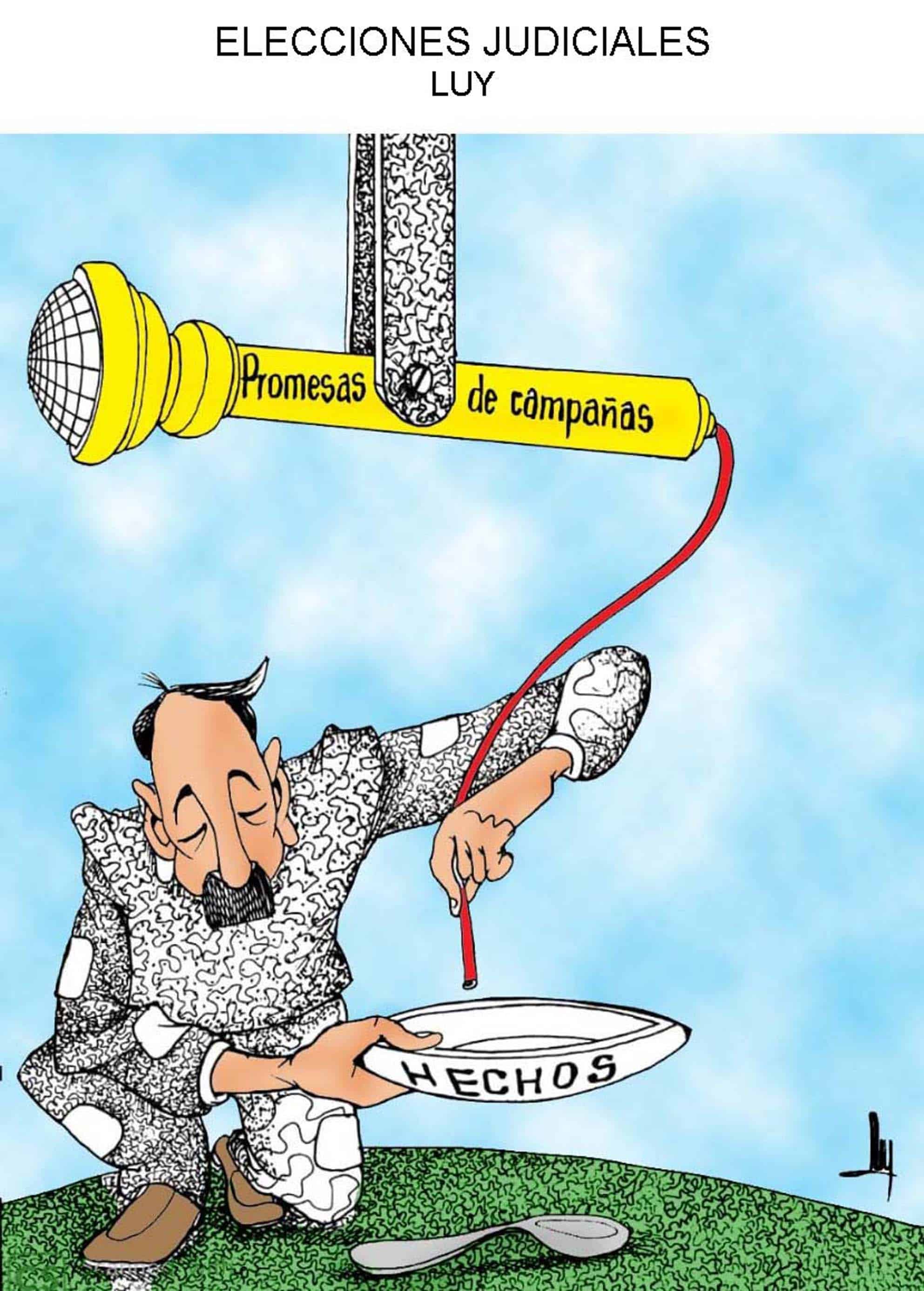 Elecciones judiciales