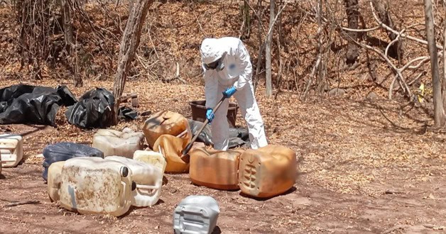 Destruyen federales 126 plantíos de amapola y 52 de marihuana Destruyen federales 126 plantíos de amapola y 52 de marihuana