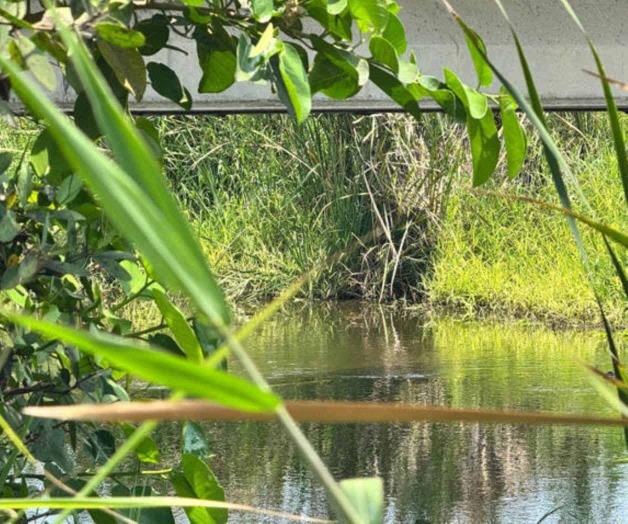 A la altura de dunas doradas: Flota cuerpo de mujer en laguna A la altura de dunas doradas: Flota cuerpo de mujer en laguna