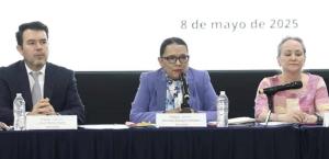 Iremos teniendo resultados, afirma Rosa Icela sobre desapariciones