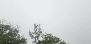 Tormenta con granizo sorprende a Valle Hermoso; preocupa a productores agrícolas