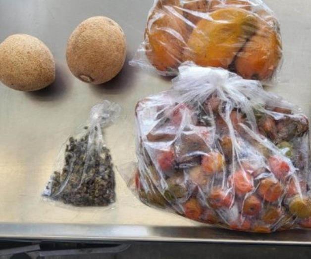 Aseguran aves, frutas y chinches en 2 casos en el puente Juárez-Lincoln Aseguran aves, frutas y chinches en 2 casos en el puente Juárez-Lincoln