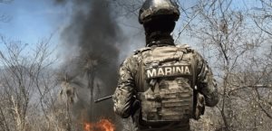 Desmantelan campamento del crimen organizado en Sinaloa