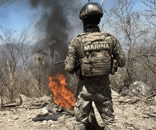 Desmantelan campamento del crimen organizado en Sinaloa Desmantelan campamento del crimen organizado en Sinaloa