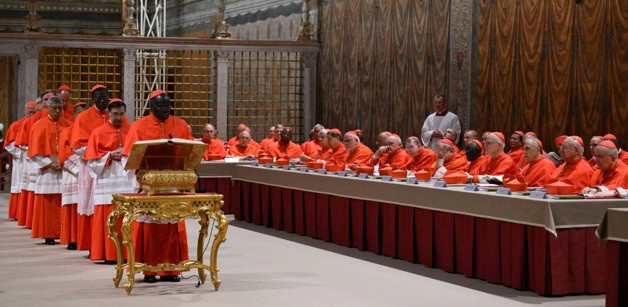 ¿Qué retos aguardan al próximo papa? ¿Qué retos aguardan al próximo papa?