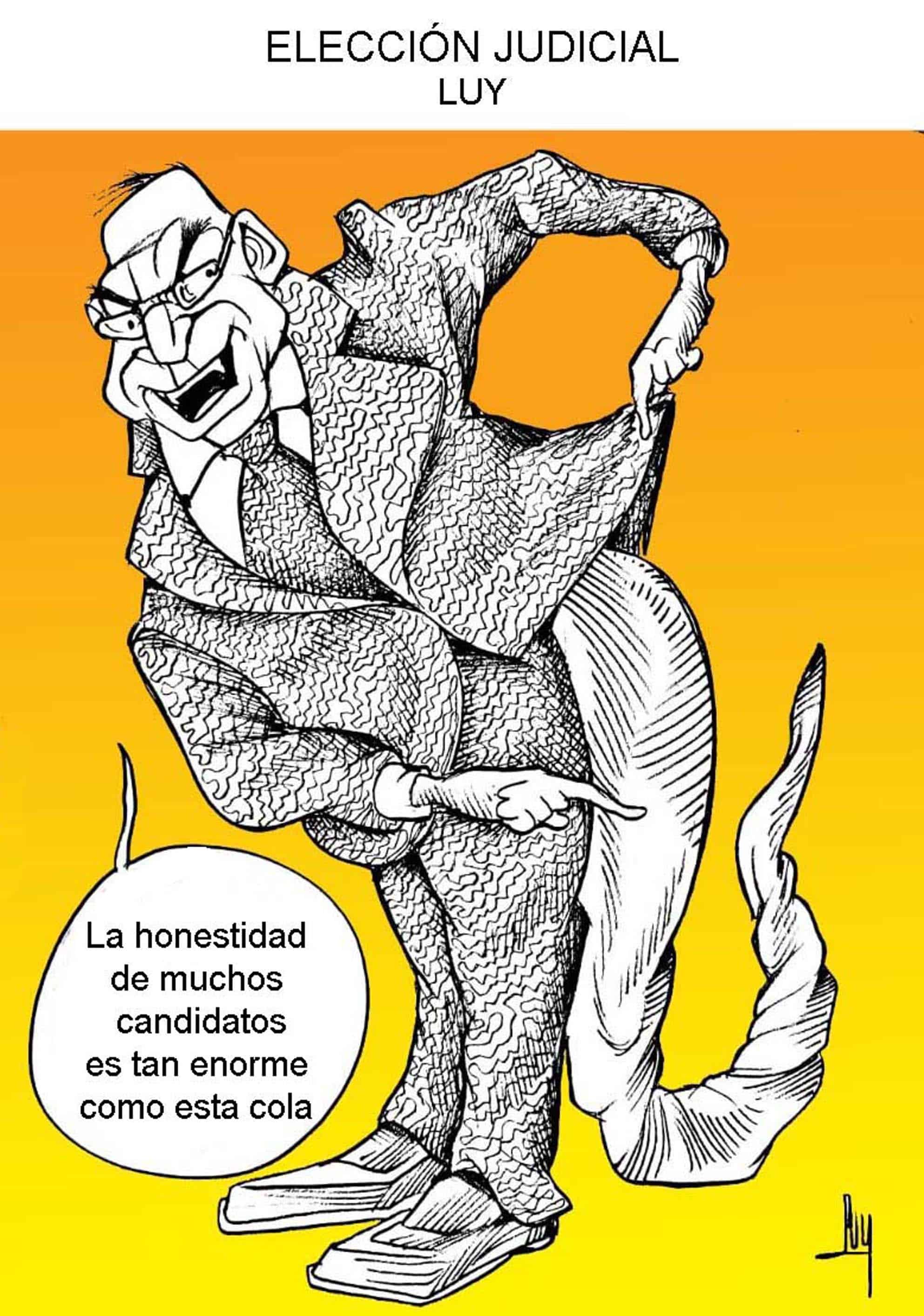 Elección judicial