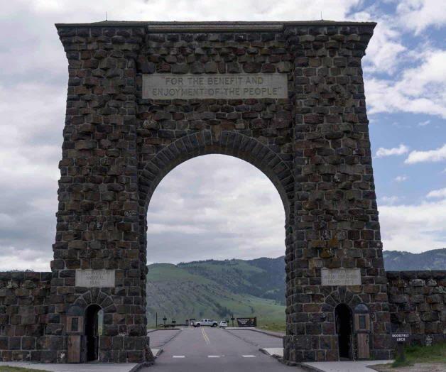 Cornea bisonte a un turista en Yellostowne Cornea bisonte a un turista en Yellostowne