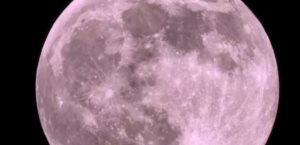 Luna de Flores 2025; ¿cuántos días faltan para verla en México?