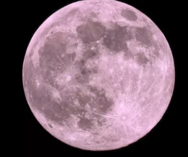 Luna de Flores 2025; ¿cuántos días faltan para verla en México? Luna de Flores 2025; ¿cuántos días faltan para verla en México?
