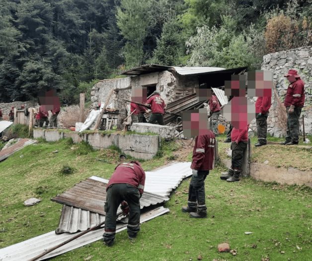 Recuperan 8 hectáreas de suelo de conservación invadidas Recuperan 8 hectáreas de suelo de conservación invadidas