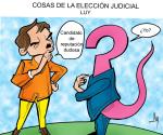 Cosas de la elección judicial