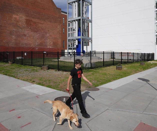 Oleada de reactores nucleares