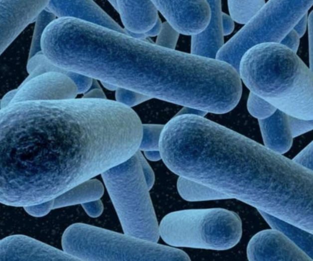 Alertan por brote de listeria en California
