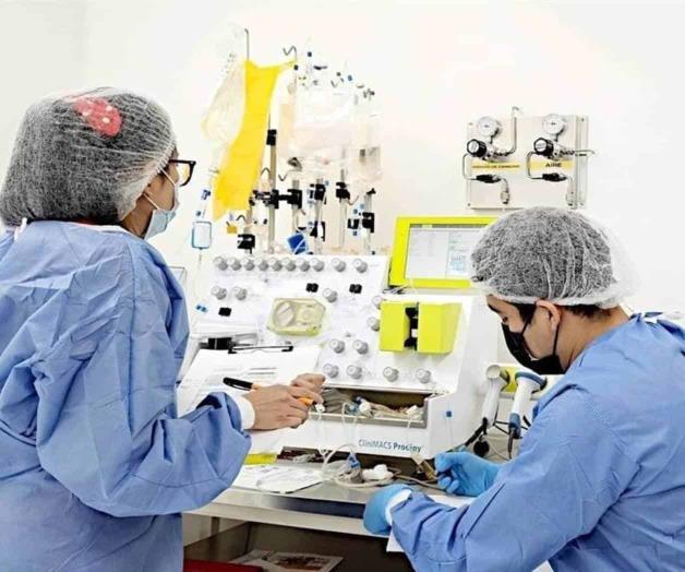Avances y obstáculos en la Terapia Celular CAR-T para Leucemia Avances y obstáculos en la Terapia Celular CAR-T para Leucemia