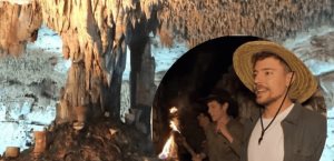 El árbol ancestral que sorprendió a MrBeast en México