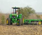 Calorones paran siembra de soya