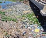Invaden plásticos el dren Reynosa