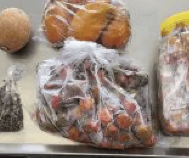 Descubren aves de corral y 100 insectos con vida