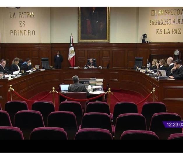 Rechaza Corte cárcel por no ´apapachar´ a mascotas Rechaza Corte cárcel por no ´apapachar´ a mascotas