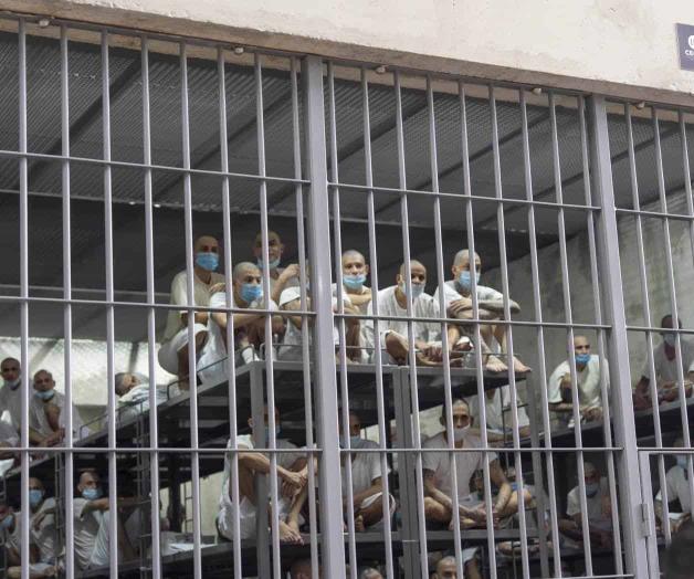 Senado rechaza medida demócrata que exige más transparencia en deportaciones a El Salvador Senado rechaza medida demócrata que exige más transparencia en deportaciones a El Salvador