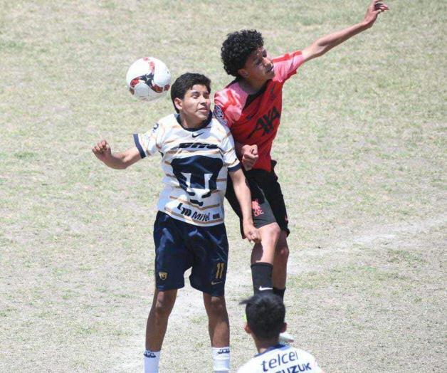 Jaibos y Pumas se reparten puntos