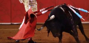 Jueces rechazan suspensión de reforma que prohíbe corridas de toros en la CDMX