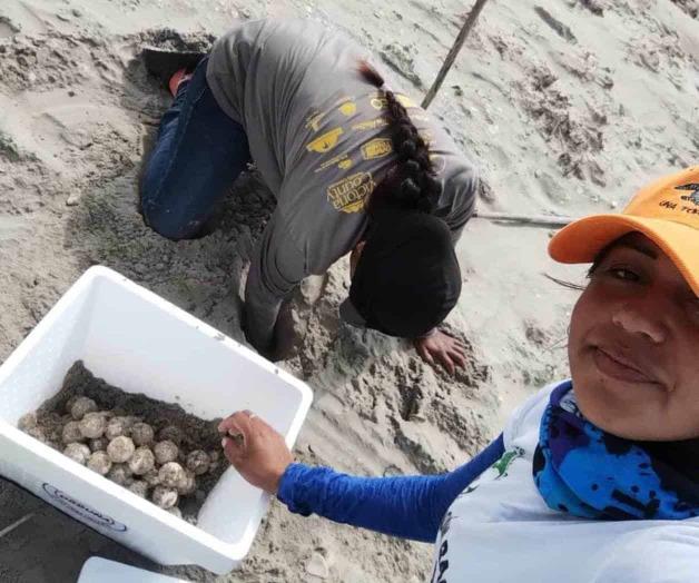 Dan patrocinios a rescatistas de delfines y tortugas