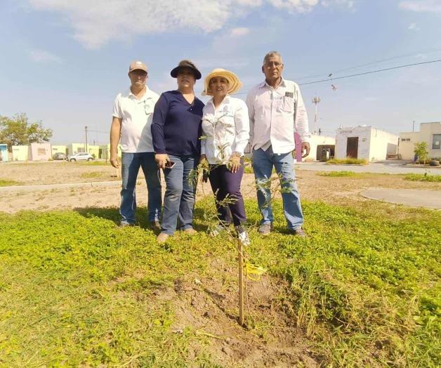 Reforestan áreas verdes en Misiones Reforestan áreas verdes en Misiones