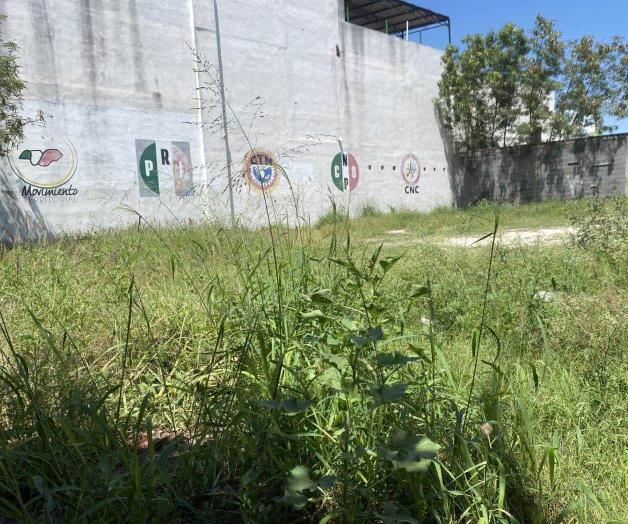 Sigue en el olvido el PRI