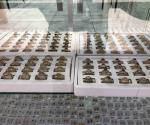 Anillos de  graduación son un lujo