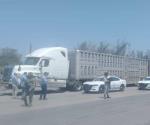 Aseguran un tráiler con ganado robado