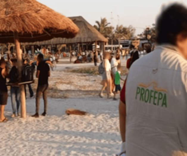 Profepa suma 31 desarrollos inmobiliarios y turísticos clausurados