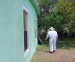 Disminuyen reportes de ataques de abejas